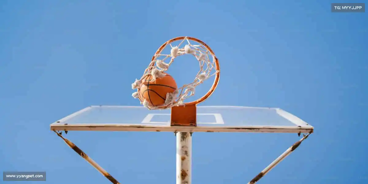 德赢·vwin——🏸羽球轻舞,扣杀如雷!